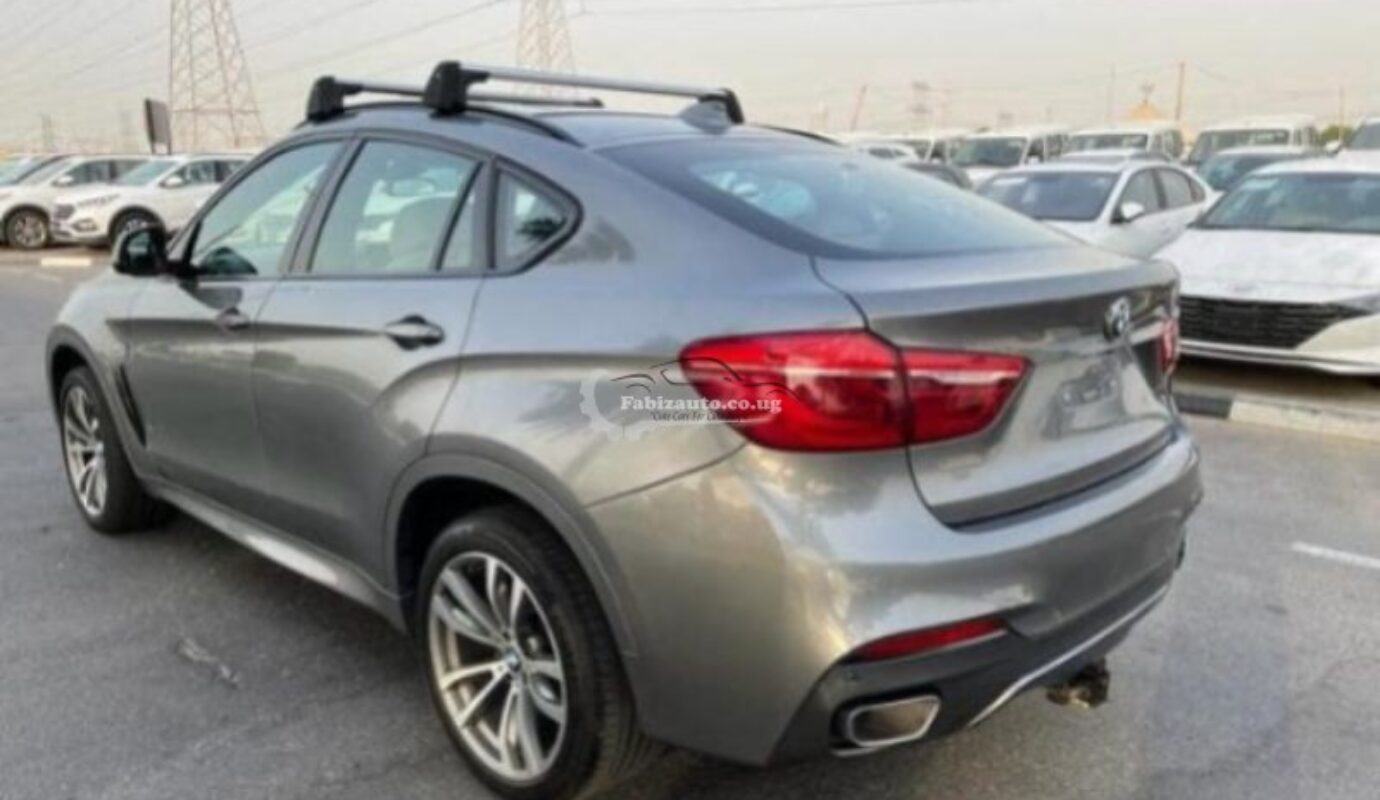 BMW X6