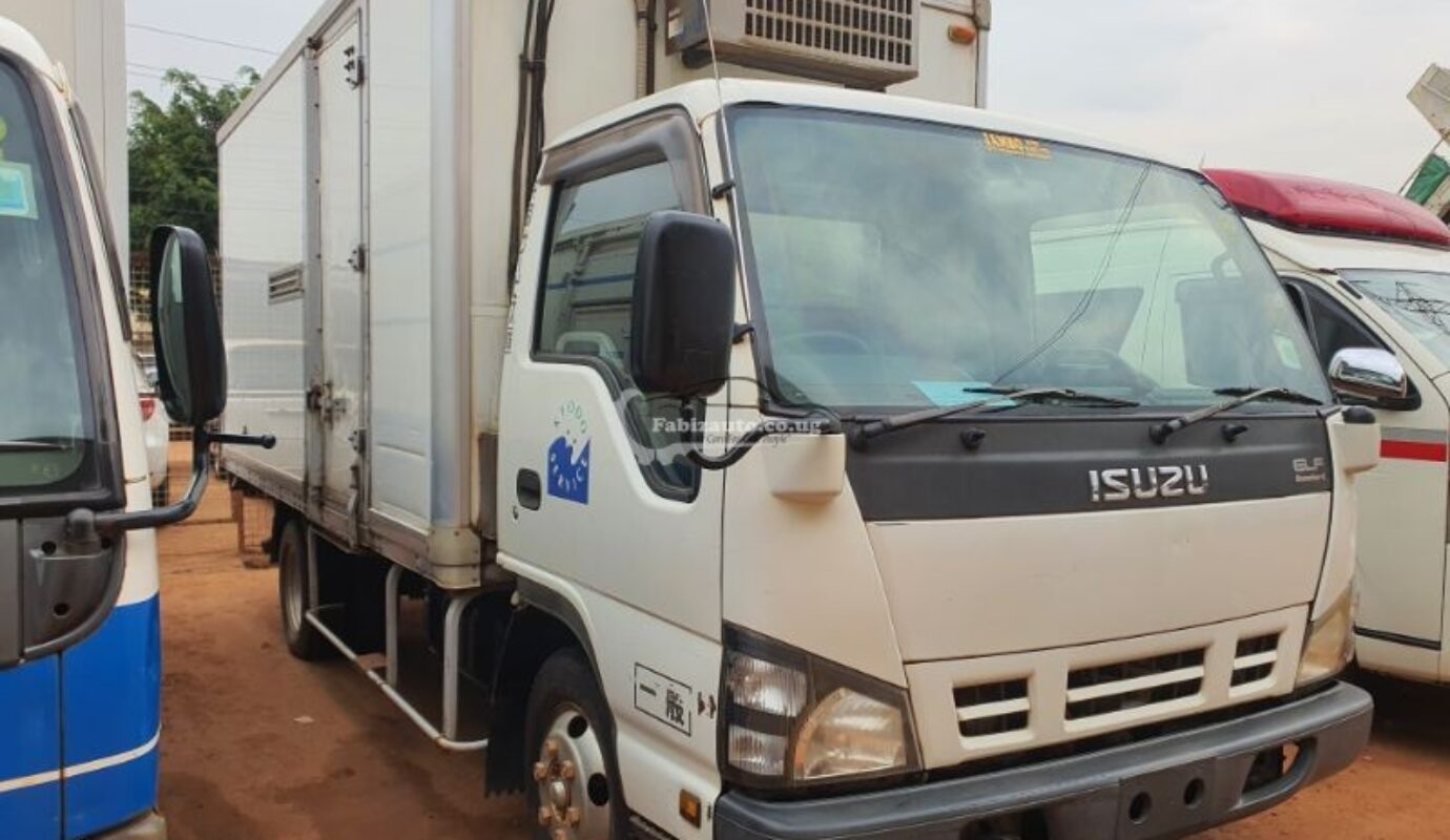 ISUZU ELF FREEZER