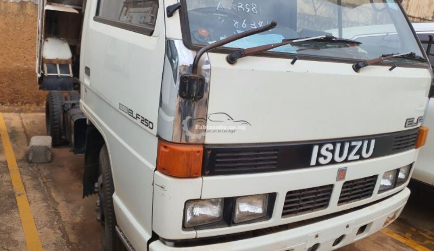 ISUZU ELF 250