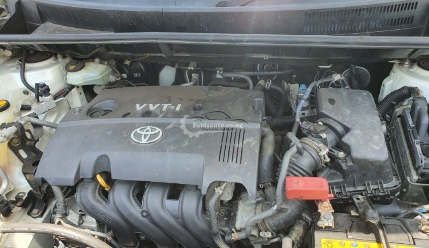 TOYOTA RUMION